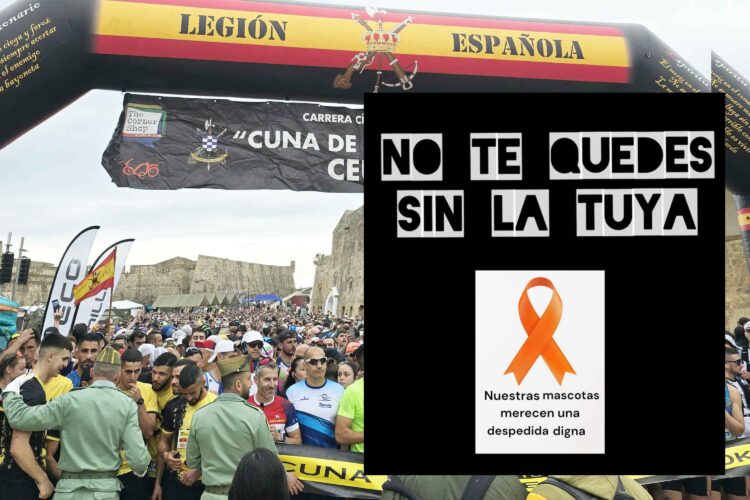 honor-sacrificio-lazos-naranjas-cuna-legion-crematorio-mascotas