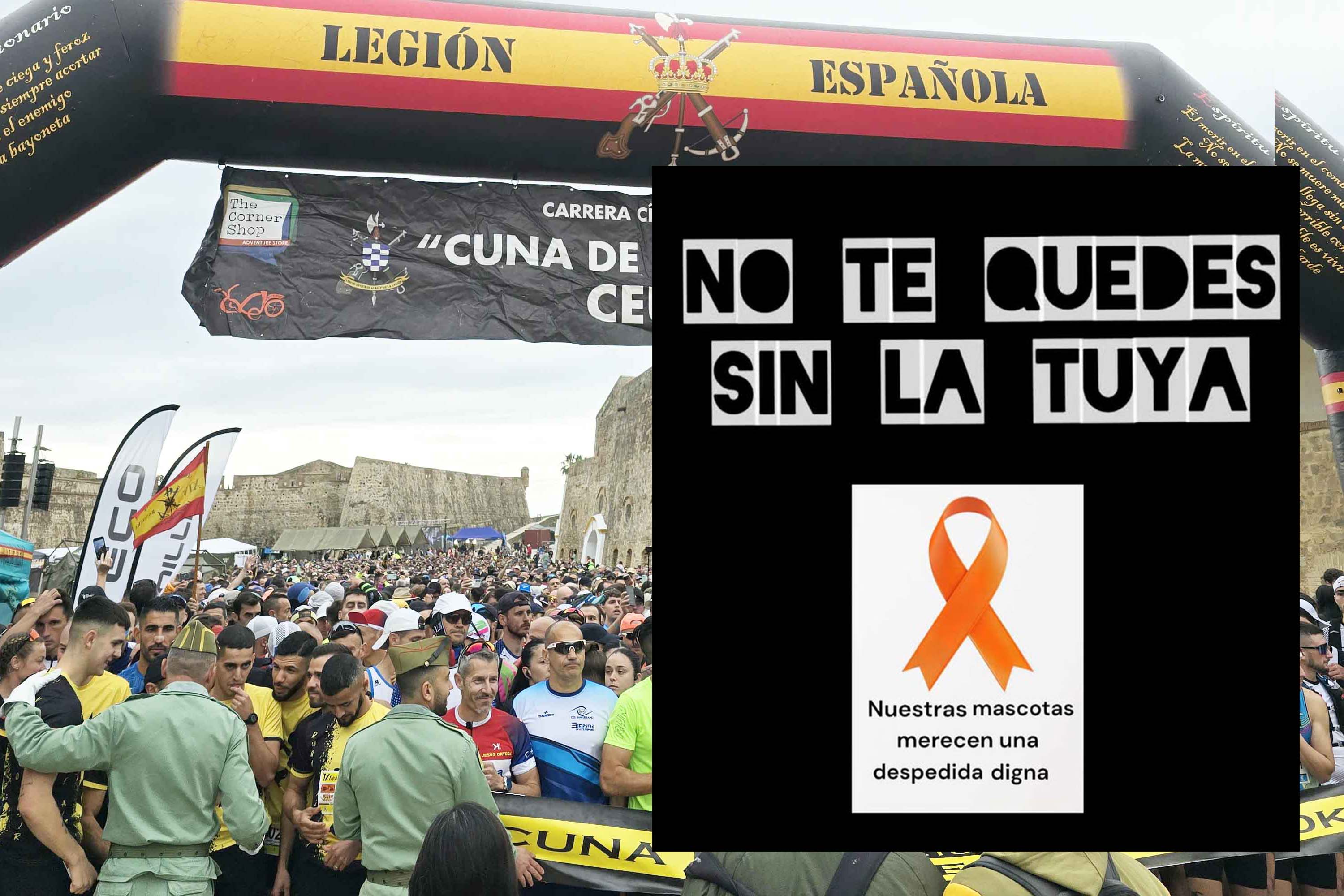 honor-sacrificio-lazos-naranjas-cuna-legion-crematorio-mascotas