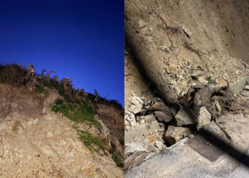 licitacion-contrato-erradicar-plaga-chumberas-muertas