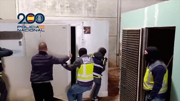 narcotunel-descubierto-udyco-policia-nacional-12