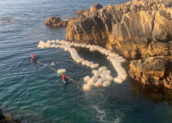 paso-mas-lucha-contra-petaqueo