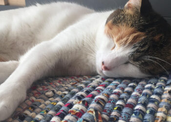 promesas-crematorio-China-2