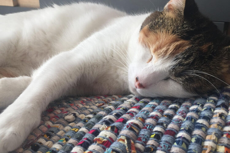 promesas-crematorio-China-2