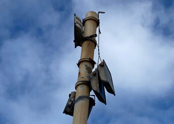 psoe-responsabilidades-parque-santa-catalina