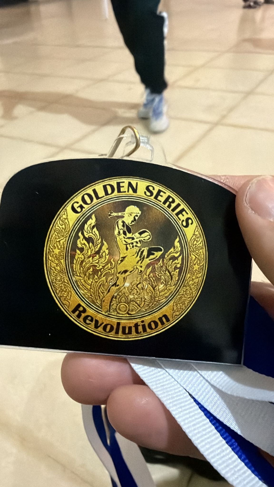 tiger-muay-thay-desempena-papel-enorme-viii-velada-muay-thai-1