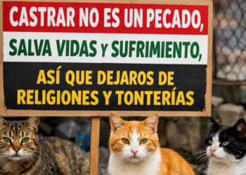 castrar-no-es-pecado