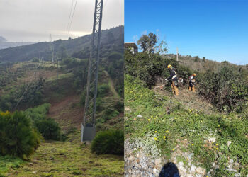 endesa-refuerza-seguridad-red-electrica-ceuta-trabajos-tala-poda-kilometros-lineas-1
