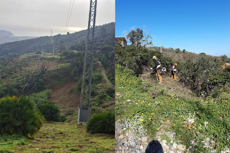 endesa-refuerza-seguridad-red-electrica-ceuta-trabajos-tala-poda-kilometros-lineas-1