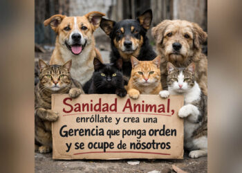 gerencia-bienestar-animal-deuda-sanidad-animal-colaboracion