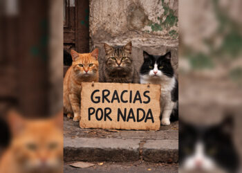 gracias-nada-sanidad-animal-colaboracion-angel-ruiz
