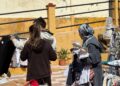 mercadillo-solidario-hermandad-rocio-mantener-tradiciones-fe-2