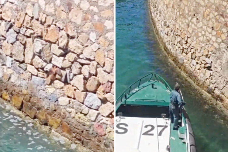 hazana-foso-guardia-civil-salva-cernicalo-apuros