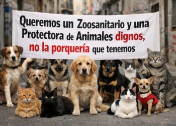 sra-directora-general-sanidad-animal-menos-brindis-sol