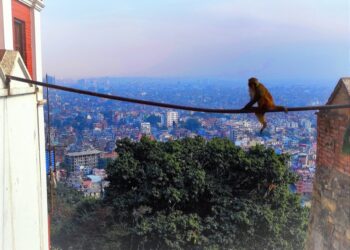 regreso-vuelta-espana-008