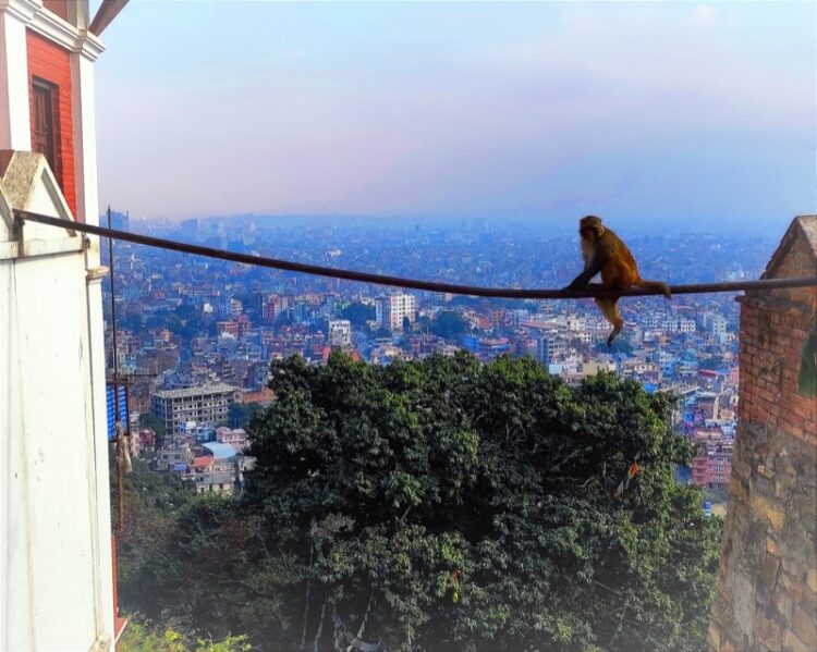 regreso-vuelta-espana-008