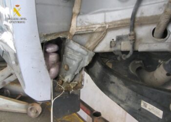 sagacidad-perro-antidroga-permite-descubrir-kilos-hachis