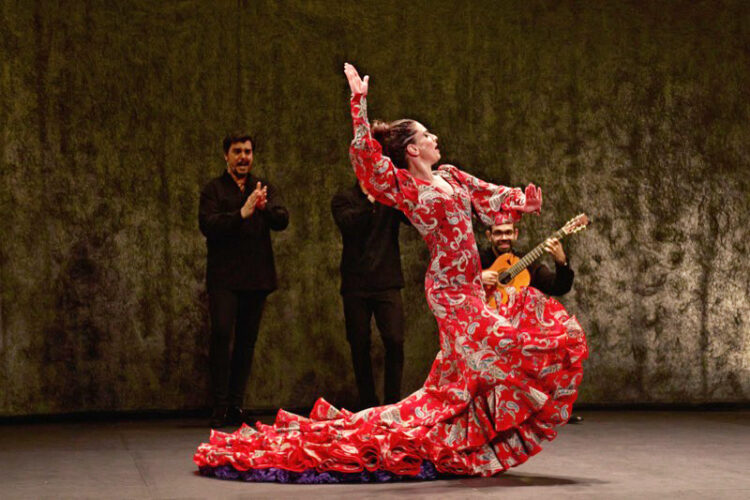 sara-calero-llega-renacer-trabajo-idea-ciclica-vida-003