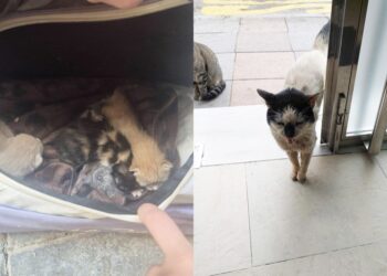 semana-santa-esperanza-historias-don-madre-coraje-001