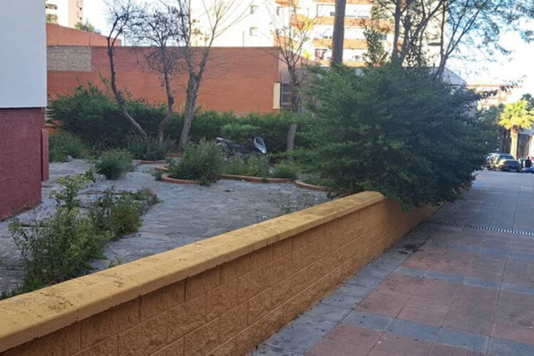 suciedad-pulgas-jardin-comunitario-poligono-virgen-africa-002