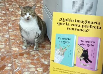 willy-gato-eligio-libros-todo-barrio