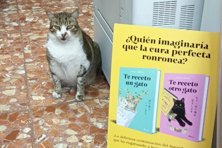 willy-gato-eligio-libros-todo-barrio