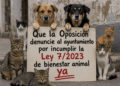 animalistas-decidiran-proximo-gobierno