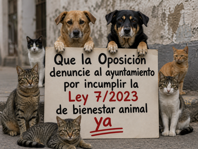 animalistas-decidiran-proximo-gobierno
