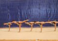 club-gimnasia-ritmica-despide-curso-gran-exhibicion-13