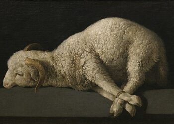cordero-dios-amor-otros-demonios-colaboracion-6
