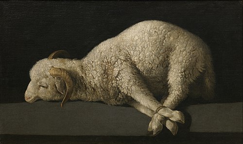cordero-dios-amor-otros-demonios-colaboracion-6