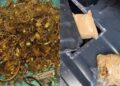 cruza-frontera-casi-tres-kilos-oro-ocultos-coche