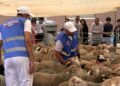 eid-al-adha-2026-celebra-alegria-vecinos-familia-ceuta-32