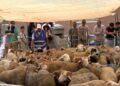 eid-al-adha-2026-celebra-alegria-vecinos-familia-ceuta-33