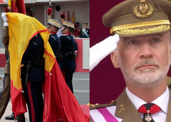 gesto-rey-descolgarse-bandera-espana-dia-fuerzas-armadas