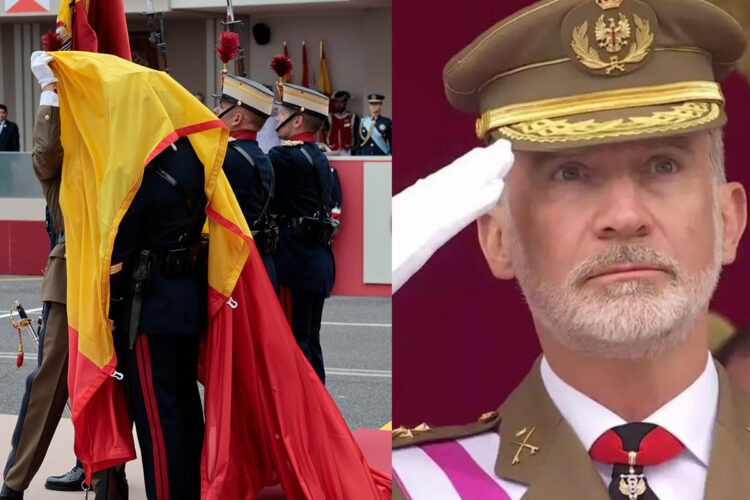 gesto-rey-descolgarse-bandera-espana-dia-fuerzas-armadas