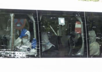 hantavirus-positivo-ratones-nadadores-fallece-guardia-civil-001