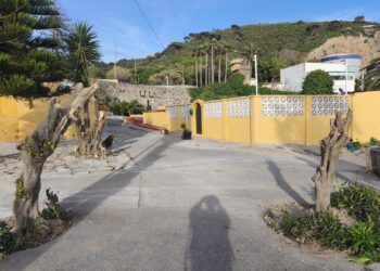medio-ambiente-investiga-poda-salvaje-san-amaro-no-autorizo-2