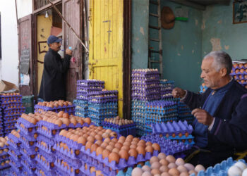 por-que-baja-precios-huevos-menos-dirham