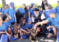 speed-agente-canino-conquista-pequenos-1