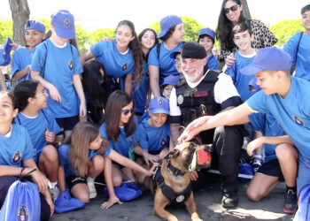 speed-agente-canino-conquista-pequenos-1