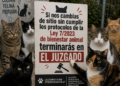 traslado-colonias-felinas-colaboracion-angel-ruiz