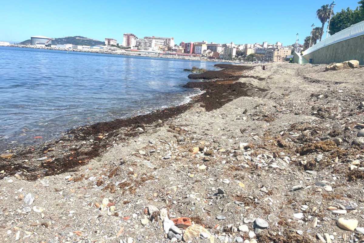 usuarios-playa-benitez-hartos-suciedad-falta-mantenimiento-001