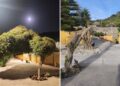 vecinos-denuncian-poda-salvaje-san-amaro-002