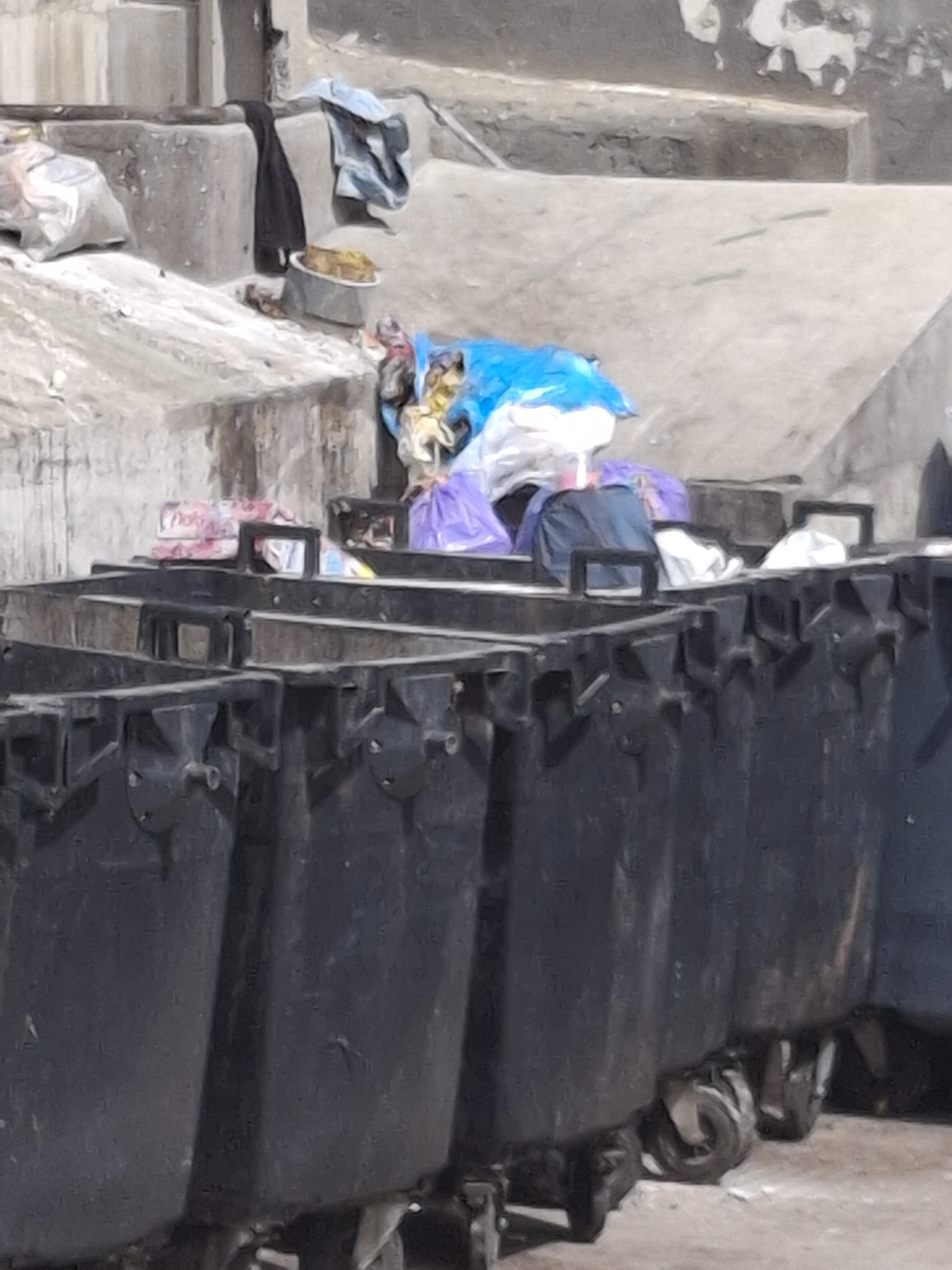 vecinos-principe-alfonso-sinvivir-basura-malos-olores-3