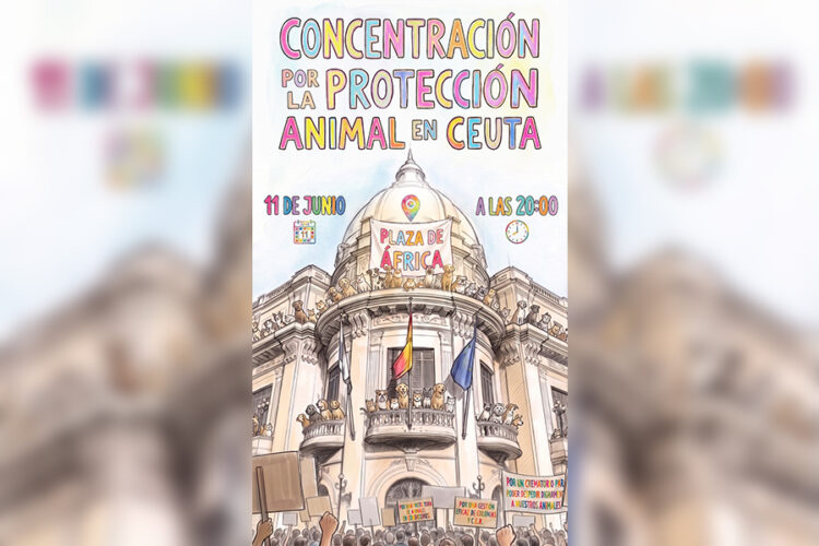 11-junio-concentracion-proteccion-animal
