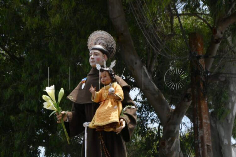 Imagenes-Romeria-San-Antonio-2025-092-750x500
