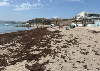 alga-asiatica-invade-playas-ceuta