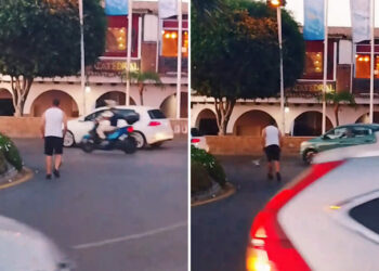 animal-peligro-frena-trafico-salvar-cria-pavana
