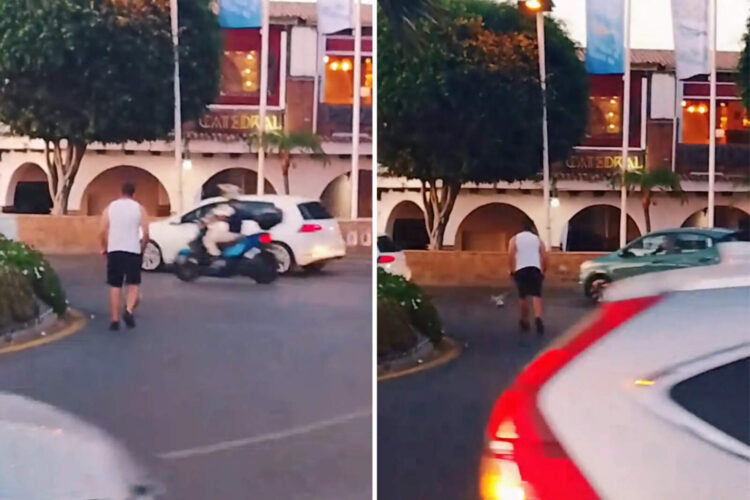 animal-peligro-frena-trafico-salvar-cria-pavana