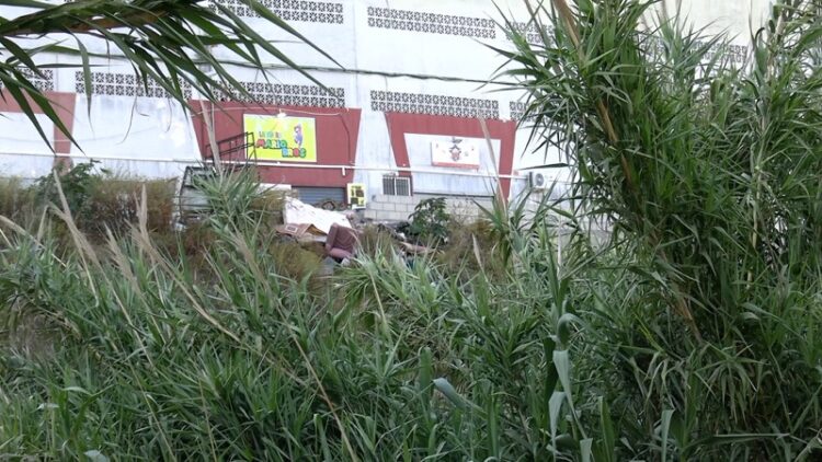 mdyc-critica-gobierno-ceuta-falta-desbroce-planificacion